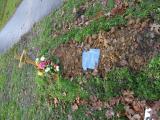 image of grave number 924401